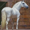 White Lusitano Horse Diamond Painting