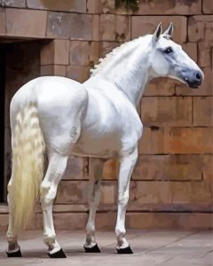 White Lusitano Horse Diamond Painting