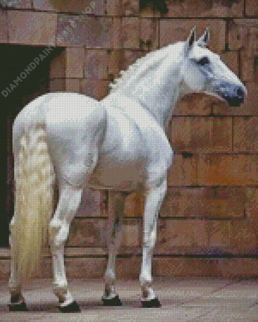 White Lusitano Horse Diamond Painting