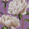 White Peony Flowers Diamond Painting