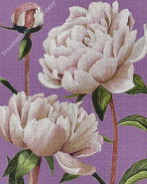 White Peony Flowers Diamond Painting