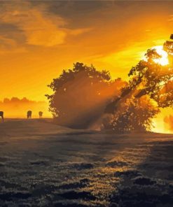 Amazing Misty Sunrise Diamond Painting