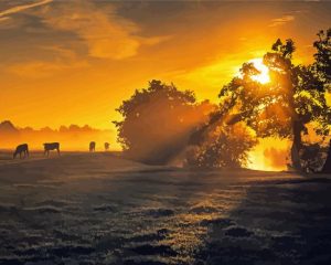 Amazing Misty Sunrise Diamond Painting