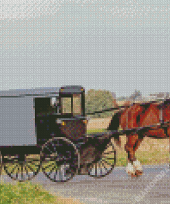 Amish Buggy Diamond Paintings