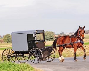 Amish Buggy Diamond Painting