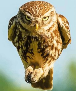 Angry Fierce Owl Diamond Painting