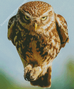 Angry Fierce Owl Diamond Painting