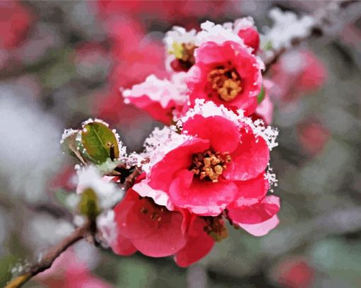 Blossom Spring Flower In Snow Diamond Painting