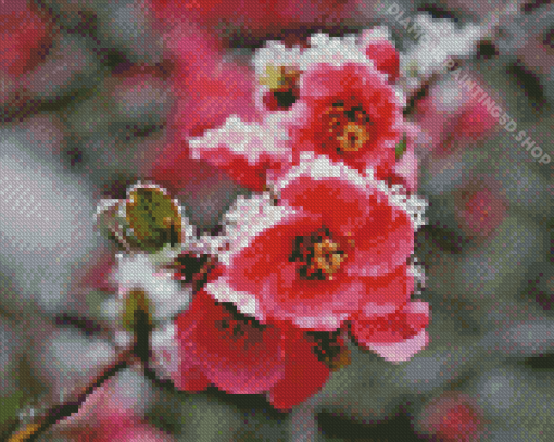 Blossom Spring Flower In Snow Diamond Painting