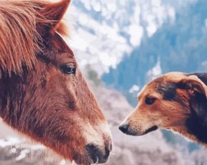 Brown Horse And Dog Diamond Painting