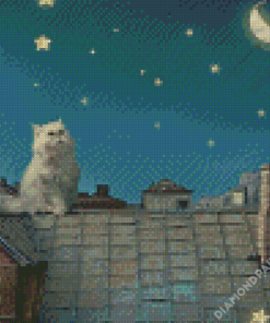 Cat Night Diamond Paintings