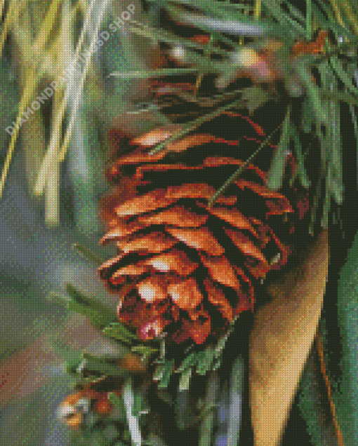 Close Up Pinecone Diamond Paintings