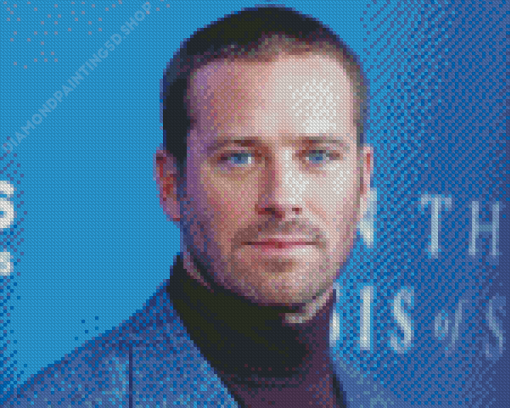 Cool Armie Hammer Diamond Painting