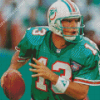 Cool Dan Marino Diamond Painting