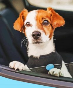 Dog And Car Diamond Painting