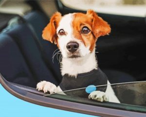 Dog And Car Diamond Painting