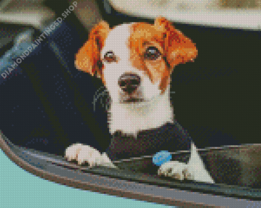 Dog And Car Diamond Painting