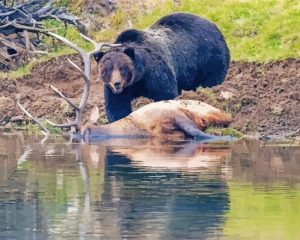 Elk And Bear Diamond Painting