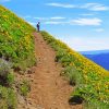 Flowering Mountain Trail Diamond Painting