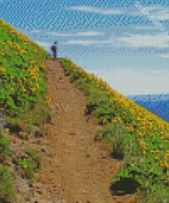 Flowering Mountain Trail Diamond Painting