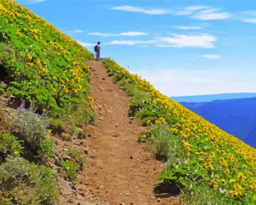 Flowering Mountain Trail Diamond Painting