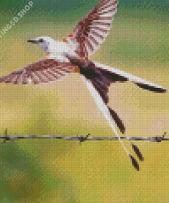 Flying Oklahoma Flycatcher Diamond Painting