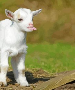 Funny Baby Goat Diamond Painting