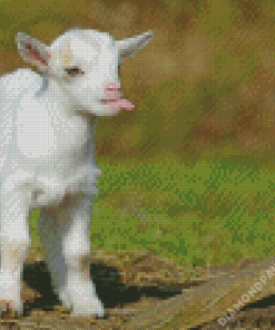 Funny Baby Goat Diamond Paintings