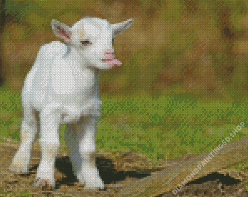 Funny Baby Goat Diamond Paintings