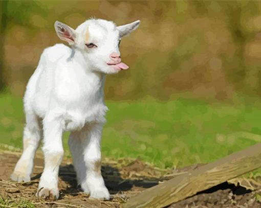 Funny Baby Goat Diamond Painting