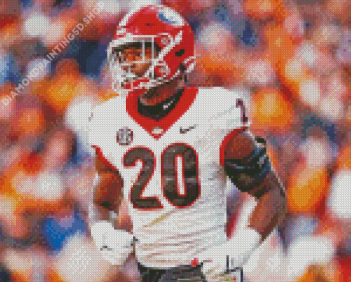 Georgia Bulldogs Player Diamond Painting