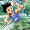 Gon Freecss Anime Boy Diamond Painting