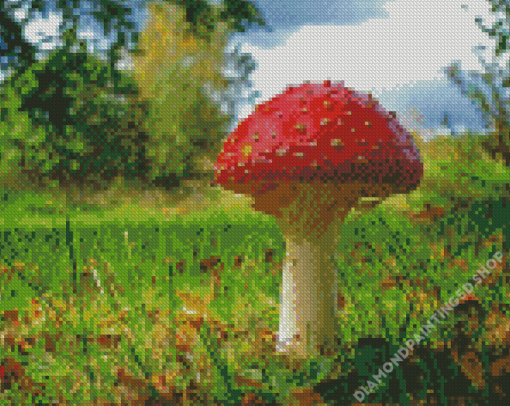 Mushroom Diamond Paintings