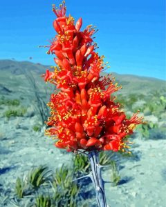 Ocotillo Cactus Diamond Painting