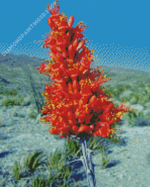 Ocotillo Cactus Diamond Paintings