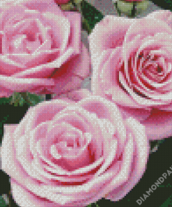 Pink Sterling Silver Rose Diamond Paintings