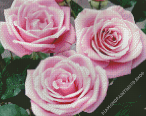 Pink Sterling Silver Rose Diamond Paintings