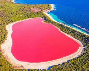 Pink Lake Western Australia Diamond Painting