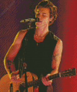 Shawn Mendes Playing Guitar Diamond Painting