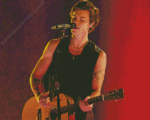 Shawn Mendes Playing Guitar Diamond Painting