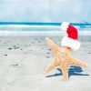 Starfish Christmas Beach Diamond Painting