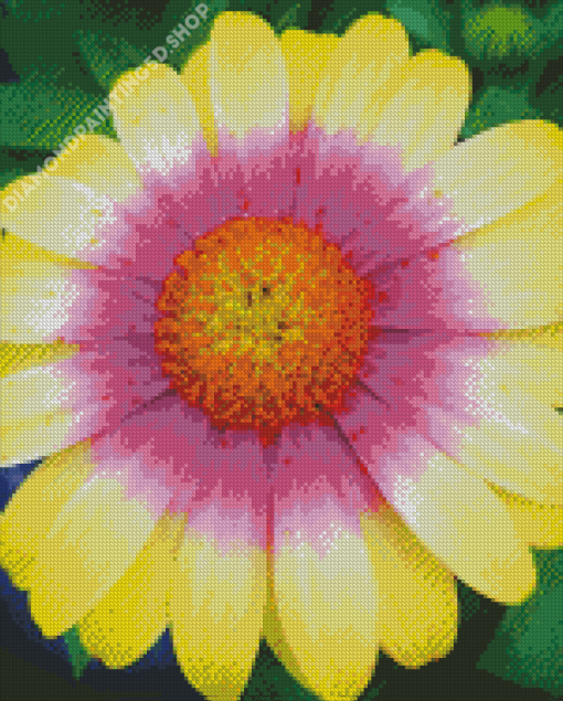 Tricolor Daisy Diamond Painting