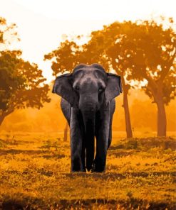 Tropical African Elephant At Sunset Diamond Painting