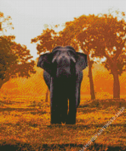 Tropical African Elephant At Sunset Diamond Paintings