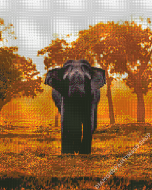 Tropical African Elephant At Sunset Diamond Paintings