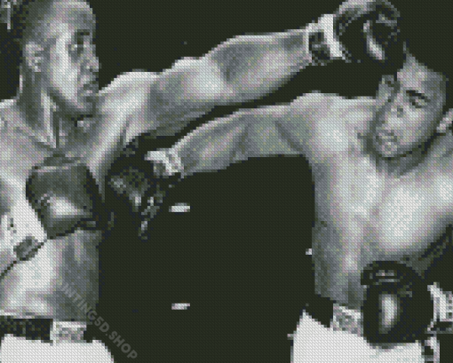 Black And White Cassius Clay vs Sonny Liston 5D Diamond Paintings