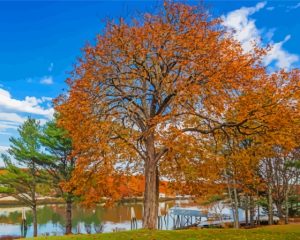 Boothbay Maine Fall 5D Diamond Painting