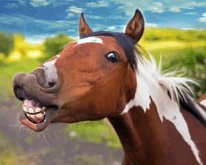 Brown Goofy Horse Diamond Painting