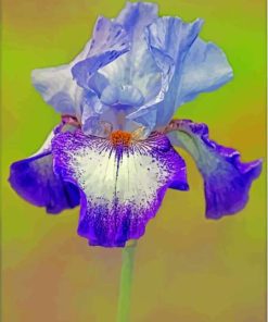 Purple Bearded Iris Flowering Plants 5D Diamond Painting