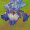 Purple Bearded Iris Flowering Plants 5D Diamond Paintings